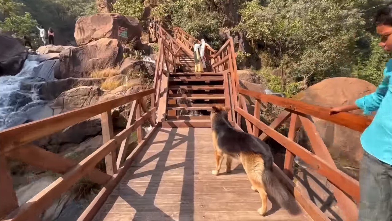 wooden-iron-bridge-lodh-waterfall