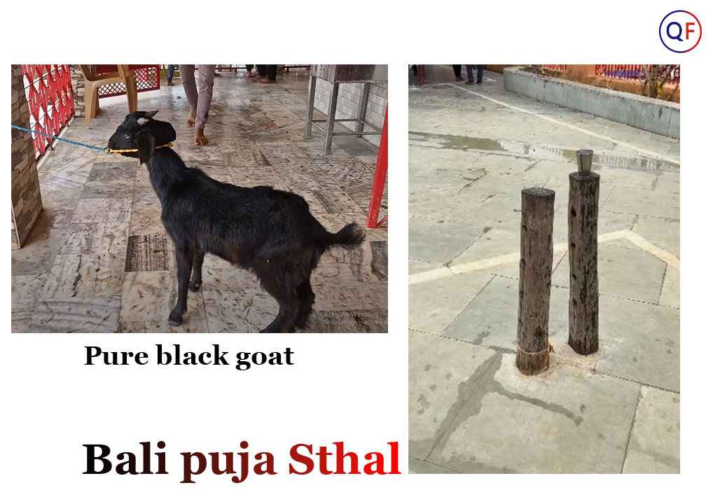 Goat for sacrifice and Bali Sthan