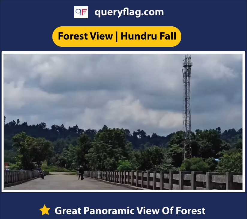 forest view from bridge in hundru waterfall