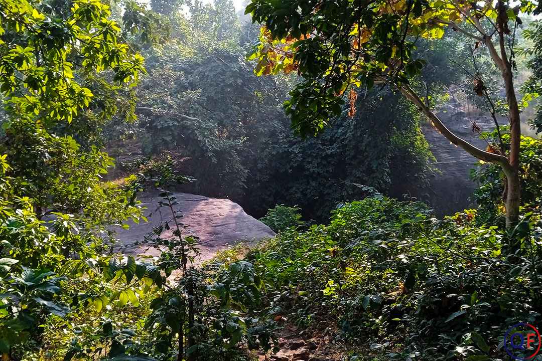 Green forest view near isko cave